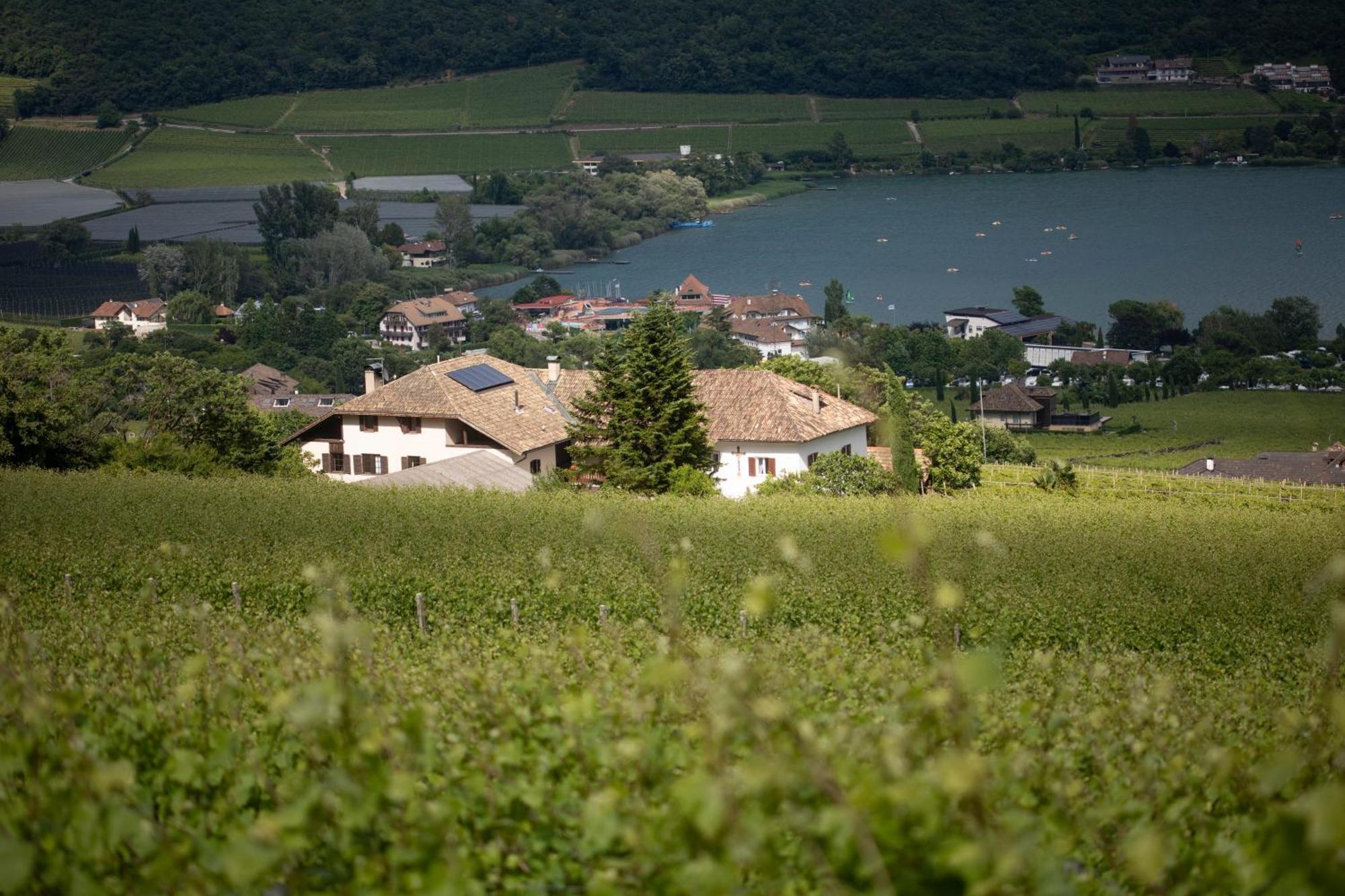Arzenhof, Baron Di Pauli Apartamento Caldaro Exterior foto