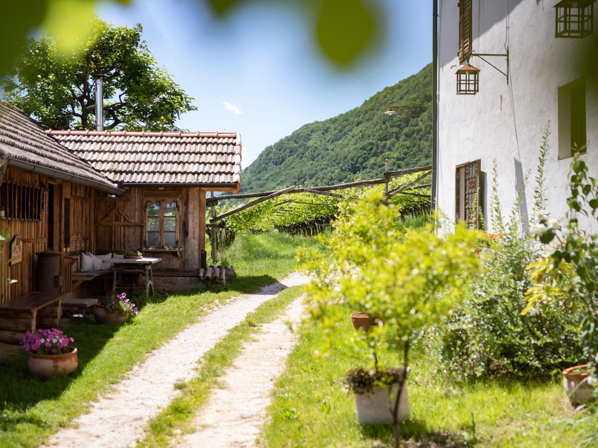 Arzenhof, Baron Di Pauli Apartamento Caldaro Exterior foto