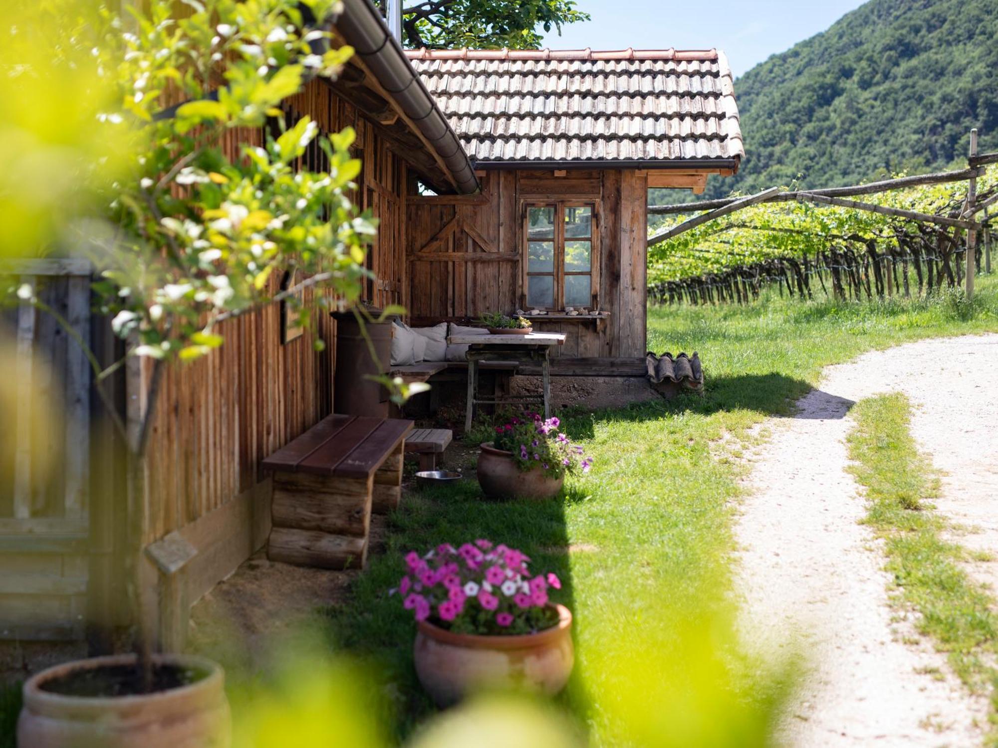 Arzenhof, Baron Di Pauli Apartamento Caldaro Exterior foto