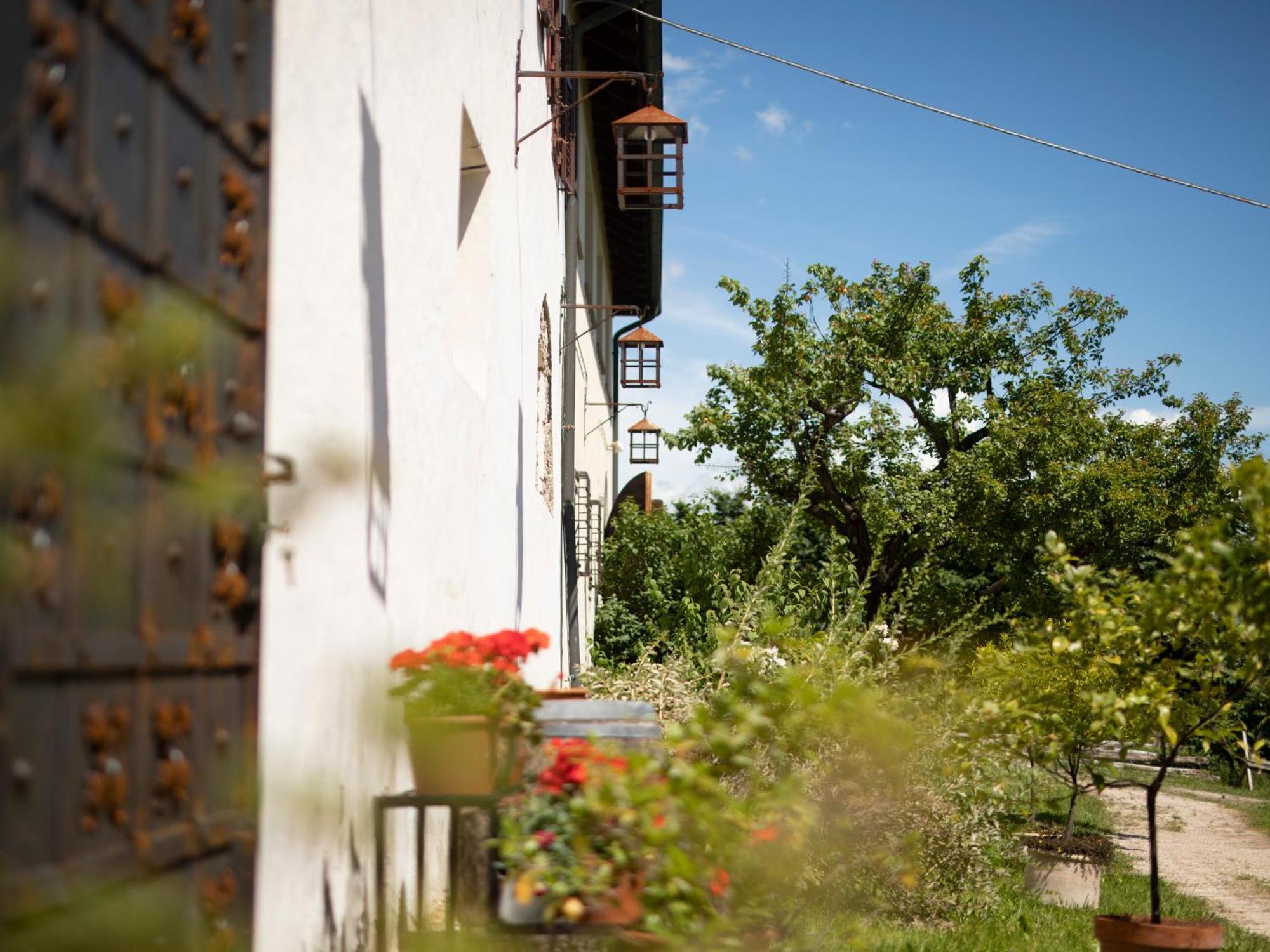 Arzenhof, Baron Di Pauli Apartamento Caldaro Exterior foto